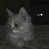 rahma92324