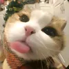 aumiaaa