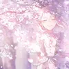 misaki.06040