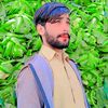 ghulammustafas34