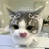 hanie_dupm