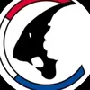 auditingcops19