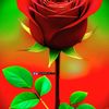padam.magar732