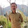 afzalahmad5361