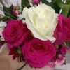 nilima.islam.nila18