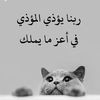 user25838119328538