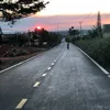 nguyen_nhh8