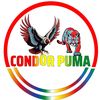 condorpuma10