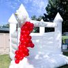 curatedbounce