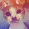 .1laydah