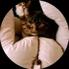 sophierainleaks31
