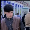 pll___ppll