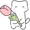 marwa.saroukh