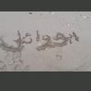user8615931619552