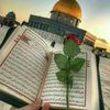 aliaahaitham5