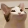 thelegoll5