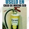 user8137218588335