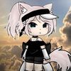 user5063761405513