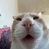 furiousfart17