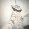 catii7956