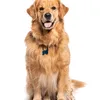 _doggie143