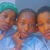 les.tripl2