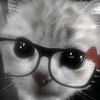 ximee_230