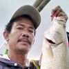 sipan.cirebon