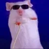 jdboiii0