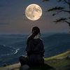 noom.nim814