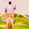 شـޢـآْرّگآْۅّيـޢـ