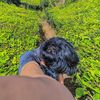 flobert_16