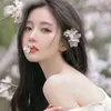 linhbedayroi