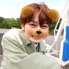 soff_300913