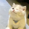 hohoanggia77