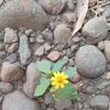 linda.fuentes68