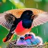 user596882019451