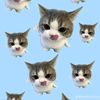 lynne_778
