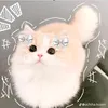 user036065403