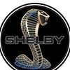 shelby50063