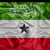 farax_ibrahim3