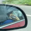 boiuu37