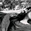 arisha.islam.asma3