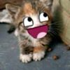 manuu_elzz