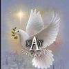 nur_hawani21