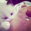 alwyss_mella26