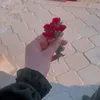 nat_2.70