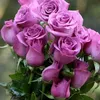 user316191313996