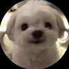 qqqpoo90