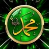 hawlerhawler5122